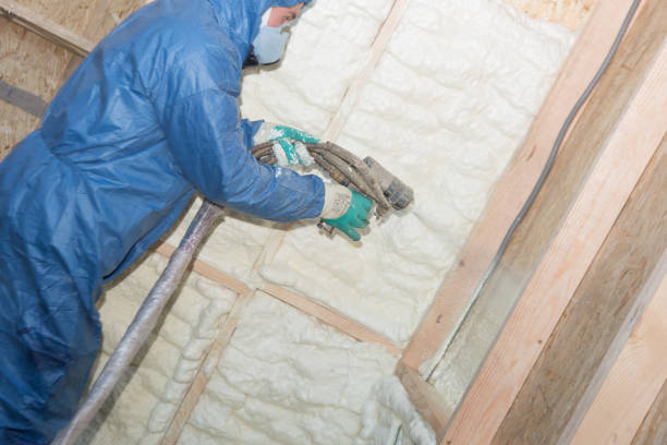 Professional Insulation Installation & Removal in Rocky Top, TN